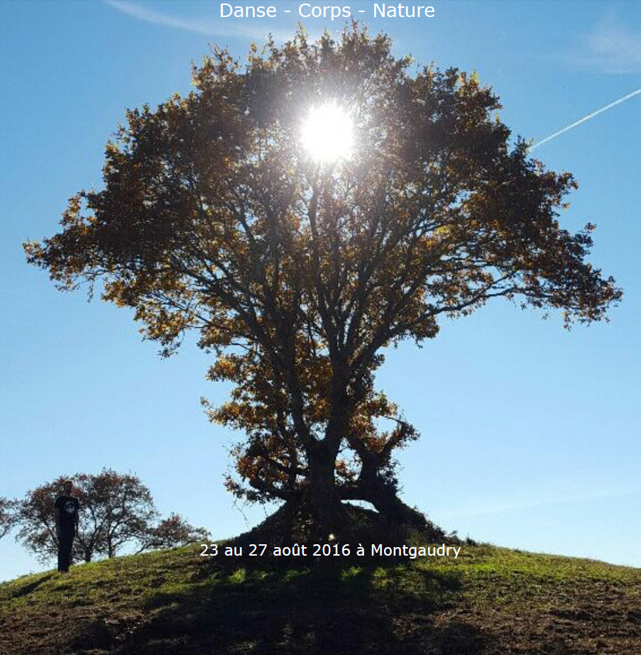 Stage été 2016 Danse Corps Nature Montgaudry